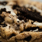 Oreo-gasm