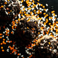 Kookies And Skream