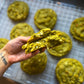 Matcha Daddy